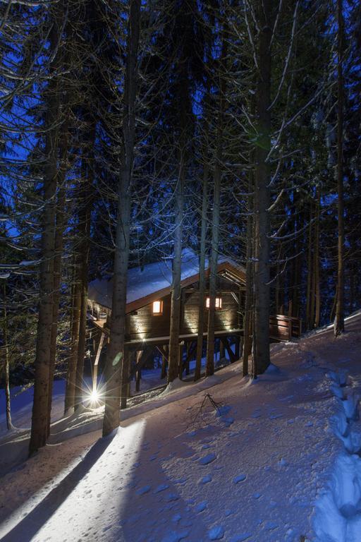 Cabane Entre Terre Et Ciel Saint-Nicolas-la-Chapelle エクステリア 写真