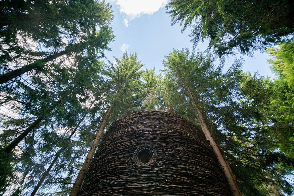 Cabane Entre Terre Et Ciel Saint-Nicolas-la-Chapelle エクステリア 写真