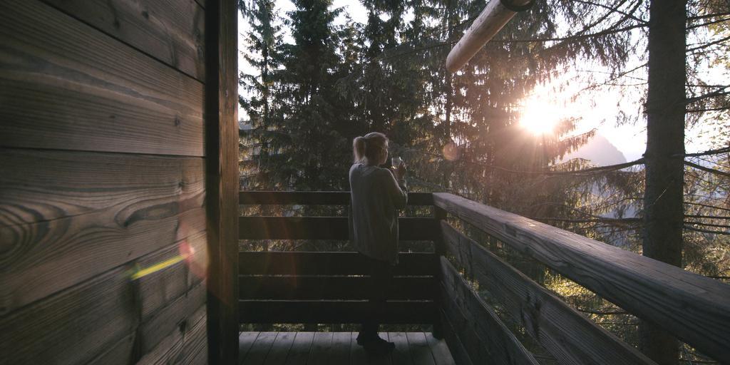 Cabane Entre Terre Et Ciel Saint-Nicolas-la-Chapelle エクステリア 写真